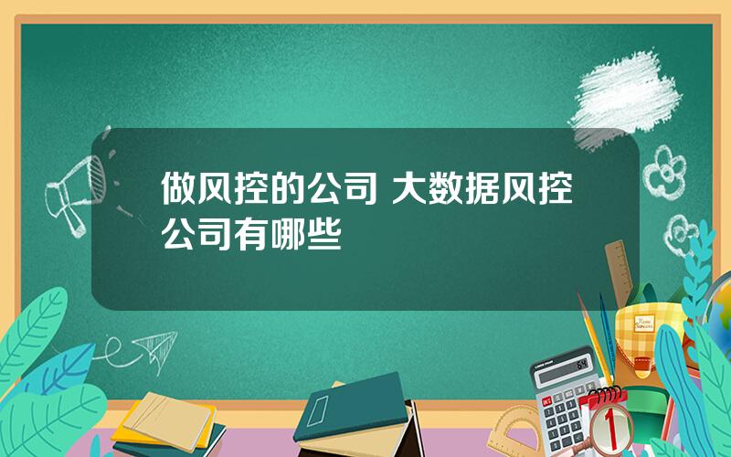 做风控的公司 大数据风控公司有哪些